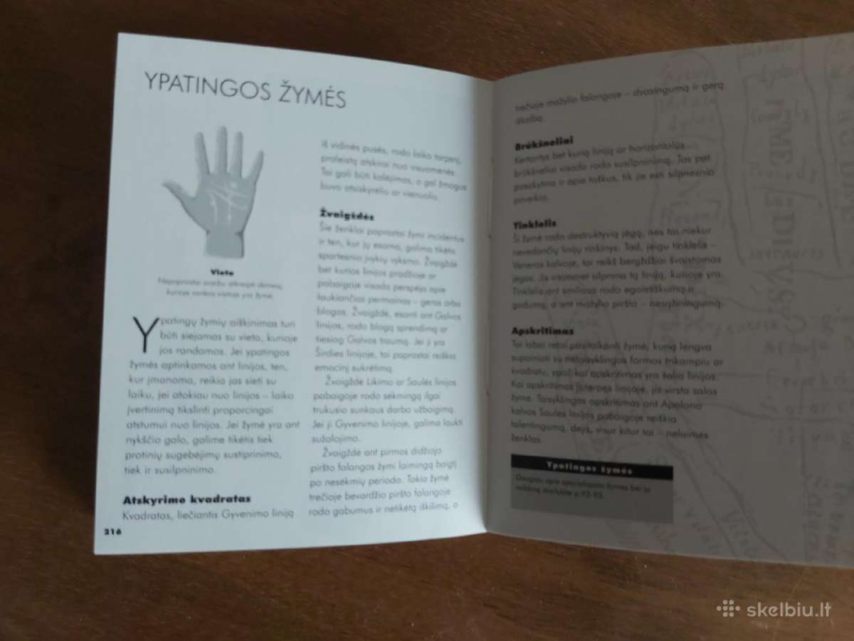 Knyga Delno paslaptys. Delnotyra - nuotraukos Nr. 7