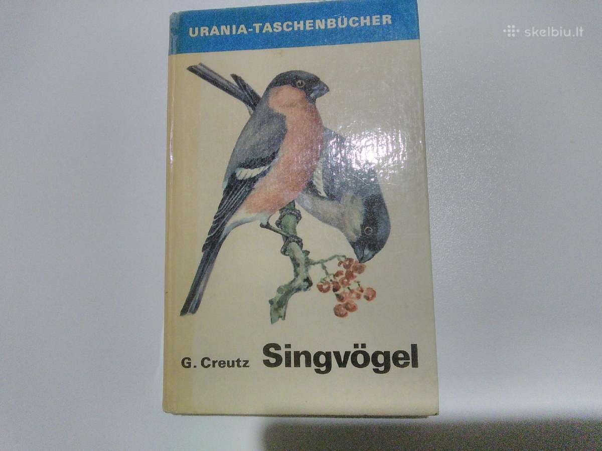 Singvogel