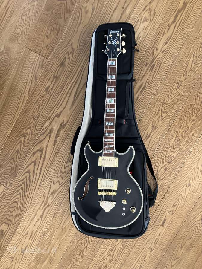 Ibanez elektrinė gitara, dėklas