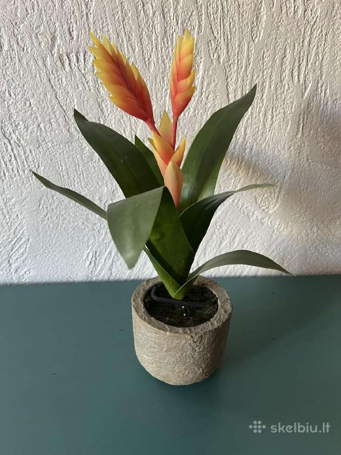 Dirbtinė gėlė- bromelia