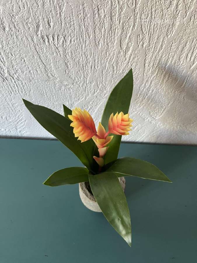 Dirbtinė gėlė- bromelia - nuotraukos Nr. 2