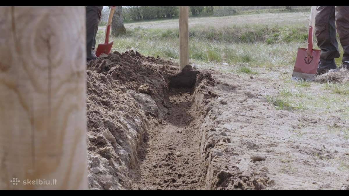 Gyvos jau užaugintos gyvatvosrės - nuotraukos Nr. 31