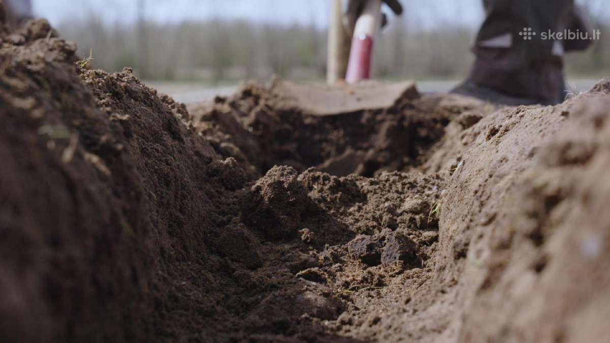 Gyvos jau užaugintos gyvatvosrės - nuotraukos Nr. 32