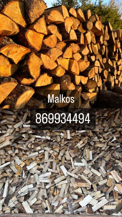 Malkos Vilnius - nuotraukos Nr. 10