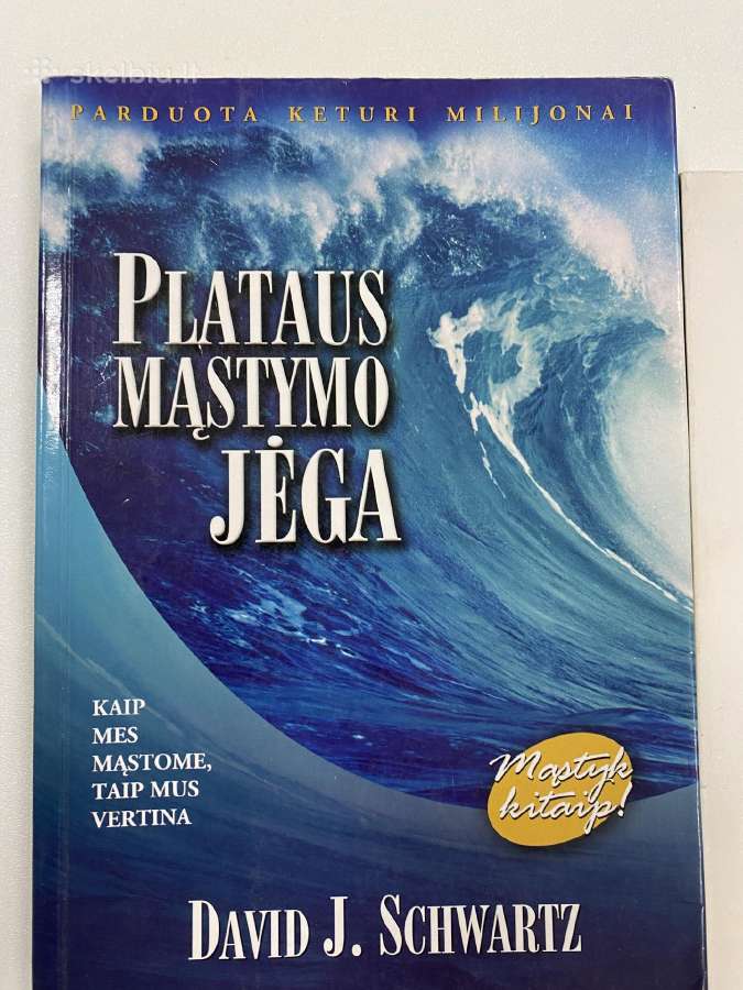 Knygos saviugdos, vadovavimo, Lean ir kt. - nuotraukos Nr. 3