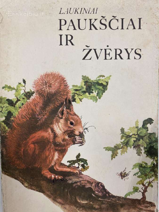 Senos gražios pasakos vaikams - nuotraukos Nr. 5