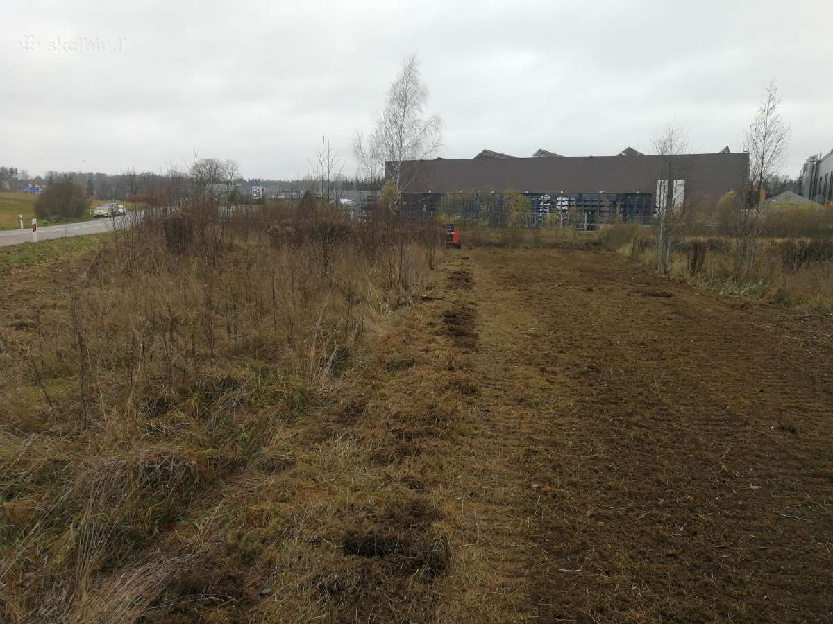 Apleistų sklypų tvarkymas, bobcat krautuvo nuoma - nuotraukos Nr. 4