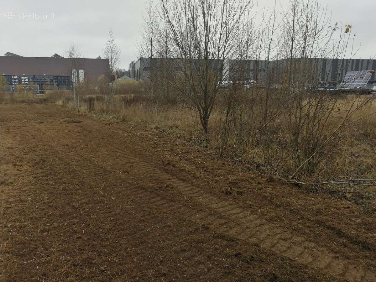Apleistų sklypų tvarkymas, bobcat krautuvo nuoma - nuotraukos Nr. 5