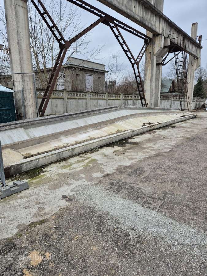Dovanoju Sijaos angaro18 m 1 vnt
