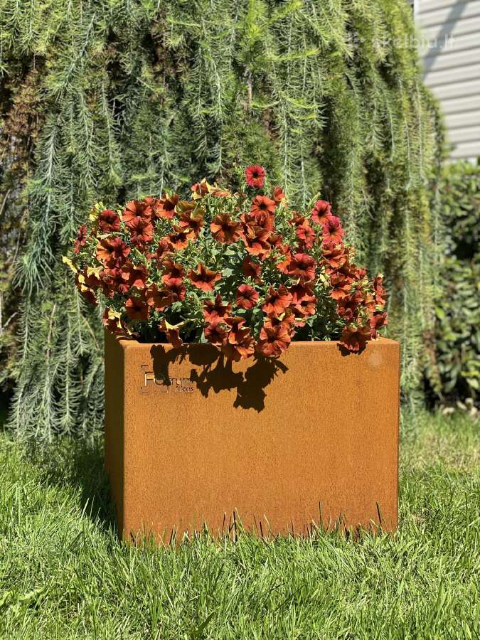 Corten plieno vazonai - nuotraukos Nr. 3