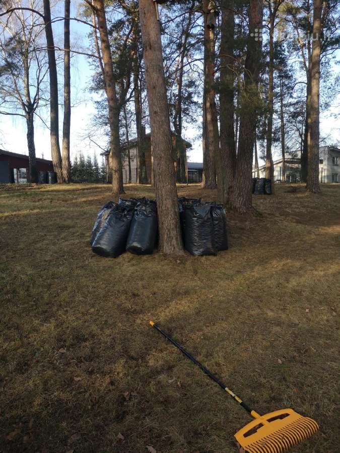 Perkraustymo paslaugos, šiukšlių išvežimas 24/7 - nuotraukos Nr. 15