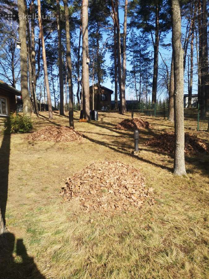 Perkraustymo paslaugos, šiukšlių išvežimas 24/7 - nuotraukos Nr. 16