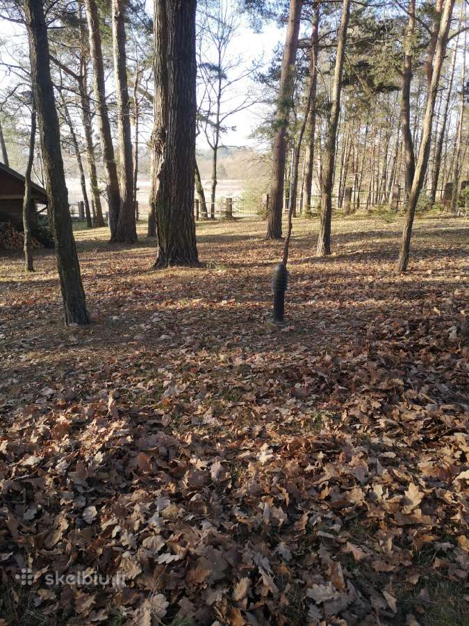Perkraustymo paslaugos, šiukšlių išvežimas 24/7 - nuotraukos Nr. 17