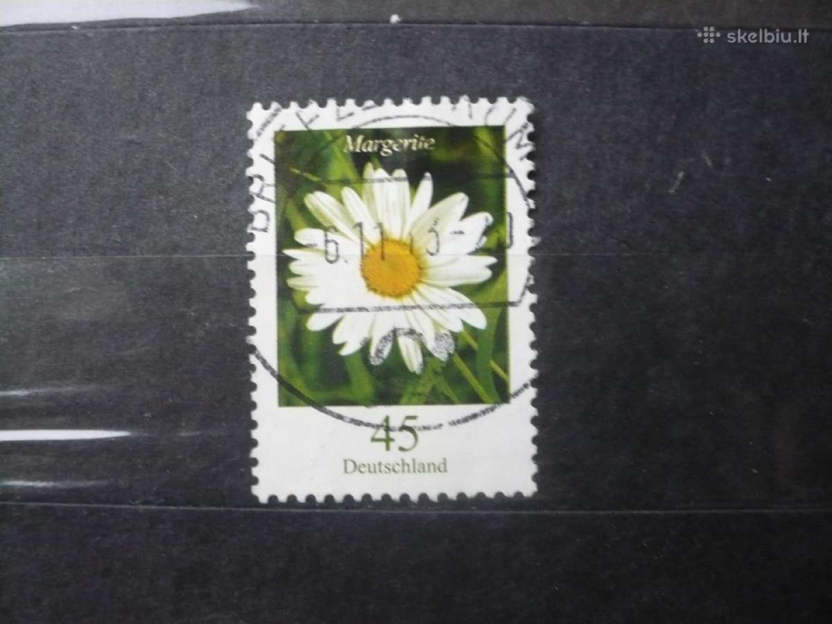 2005 Flora