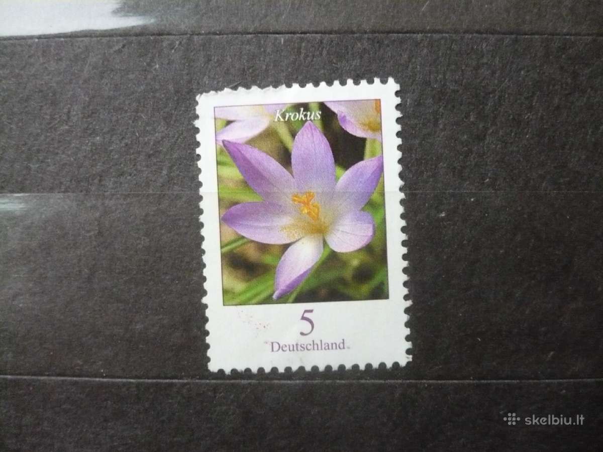 2005 m. galutinis leidimas – Crocus Mhn