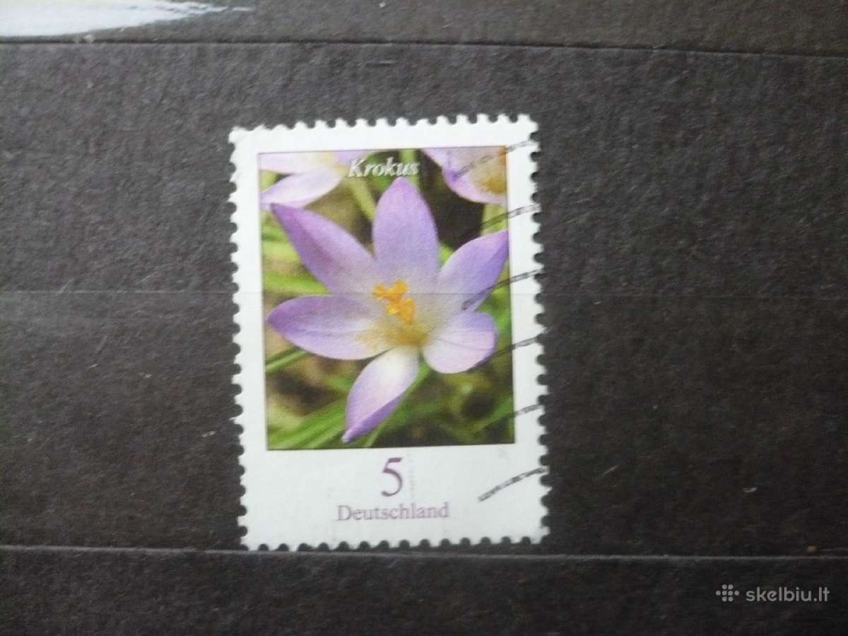 2005 m. galutinis leidimas – Crocus