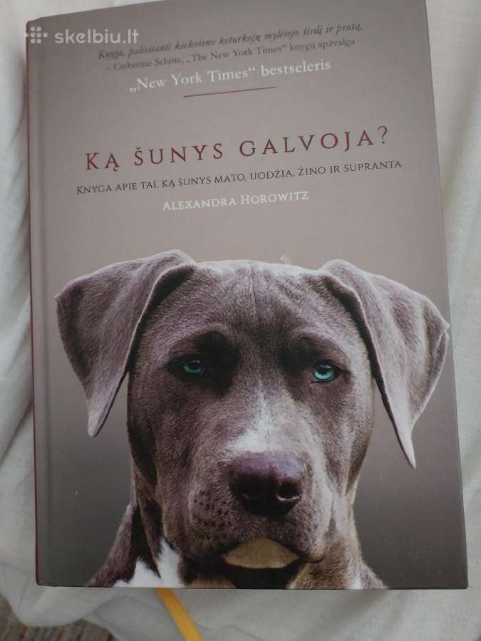 Knyga apie šunis