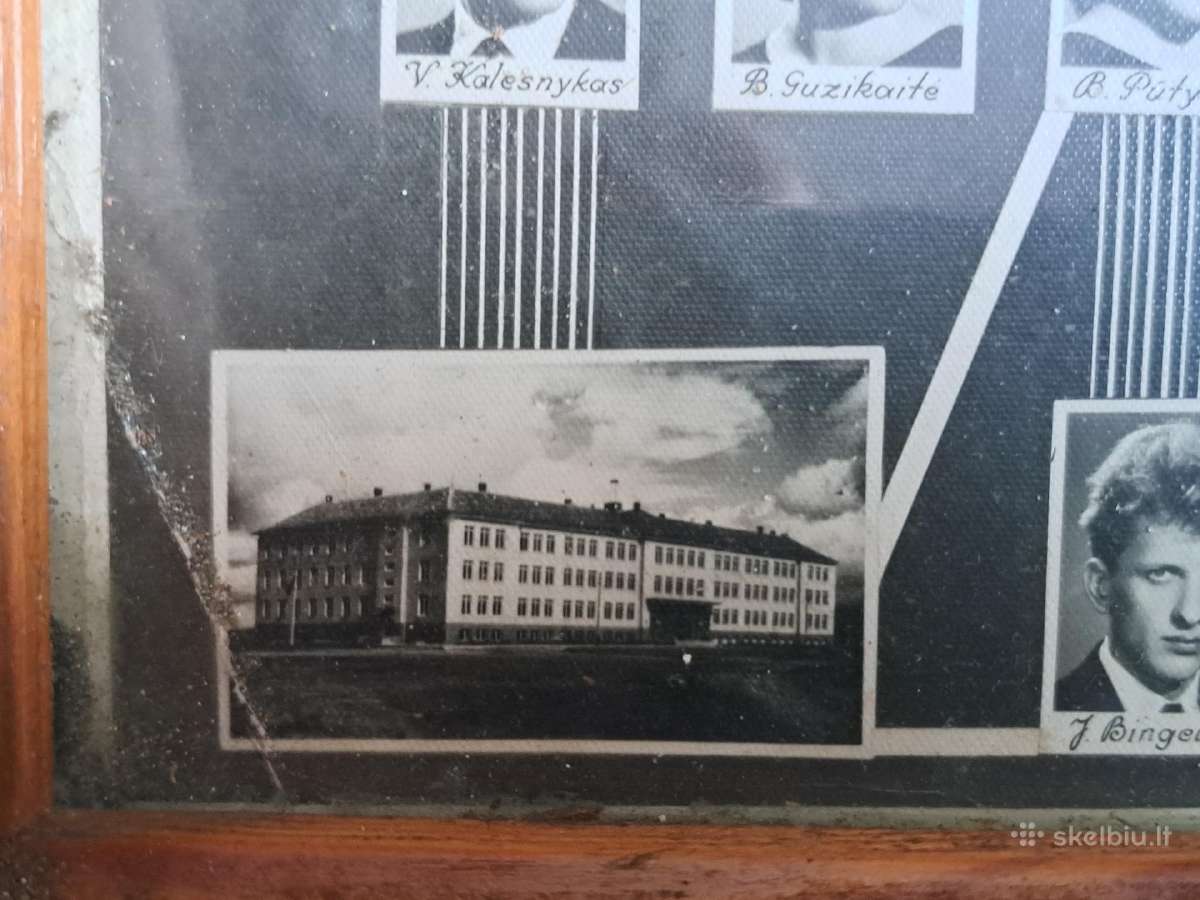 Vinjetė - nuotraukos Nr. 11