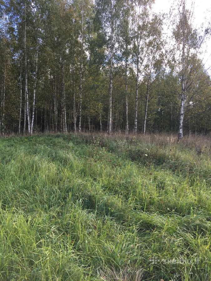 Parduodu 12.31ha žemės sklypą, 4,54 iš jų miškas