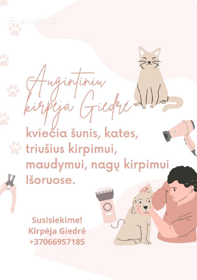 Šunų ir kačių kirpimas trimingav Kaune ir Išoruose