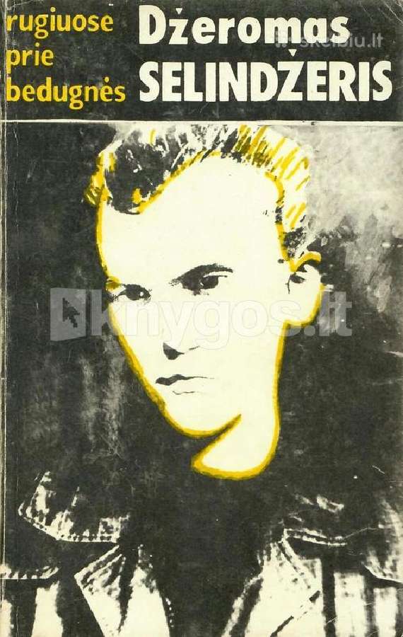 Dz Selindzeris "Rugiuose prie bedugnes"