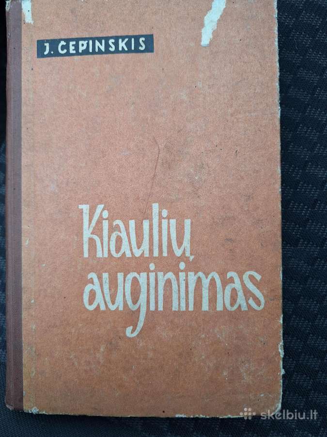 Kiaulių auginimas.