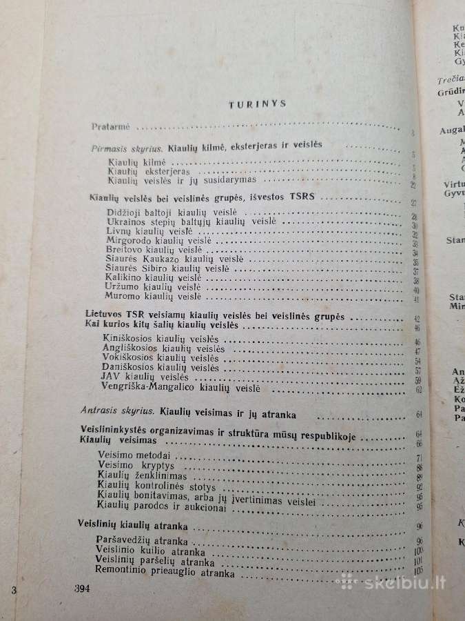 Kiaulių auginimas. - nuotraukos Nr. 3