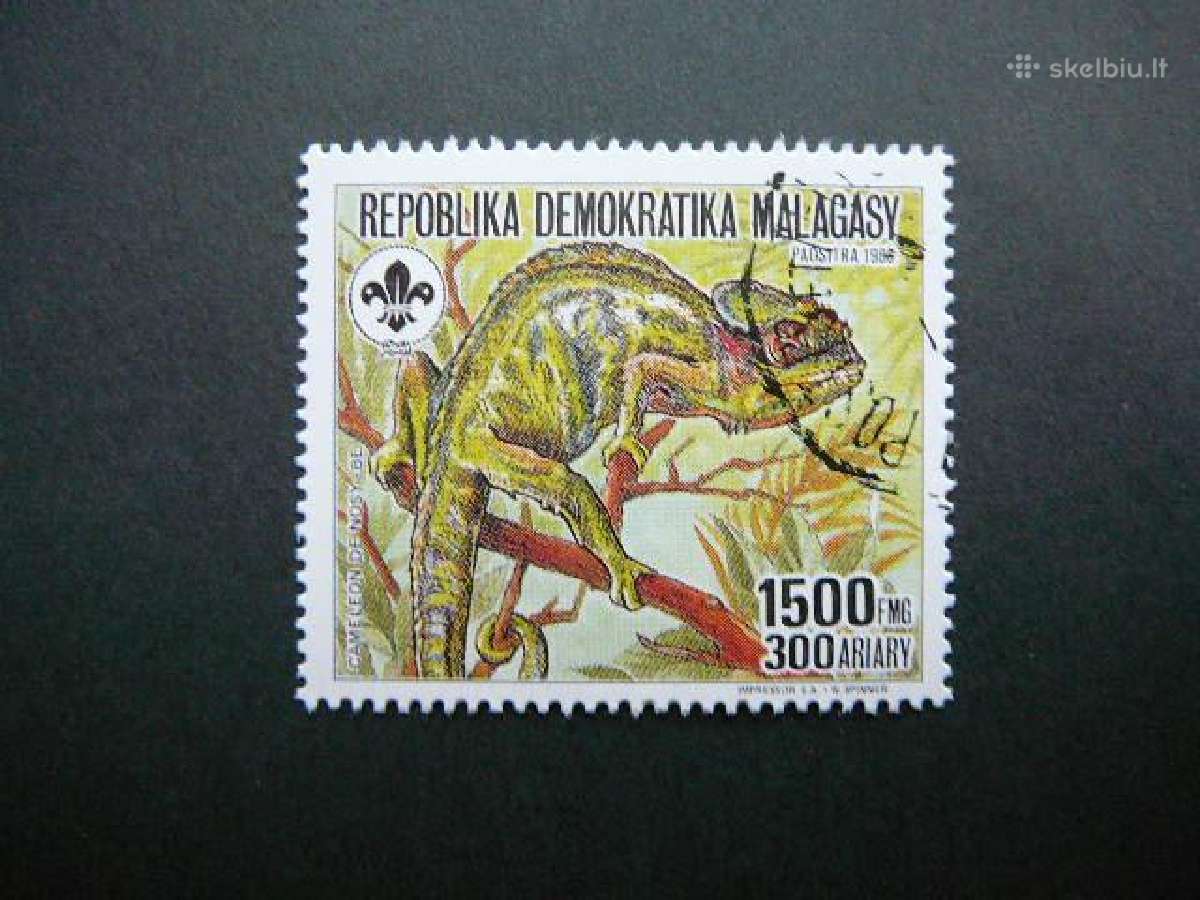 Chameleonas Skautai Madagaskaras 1988 mdg1115