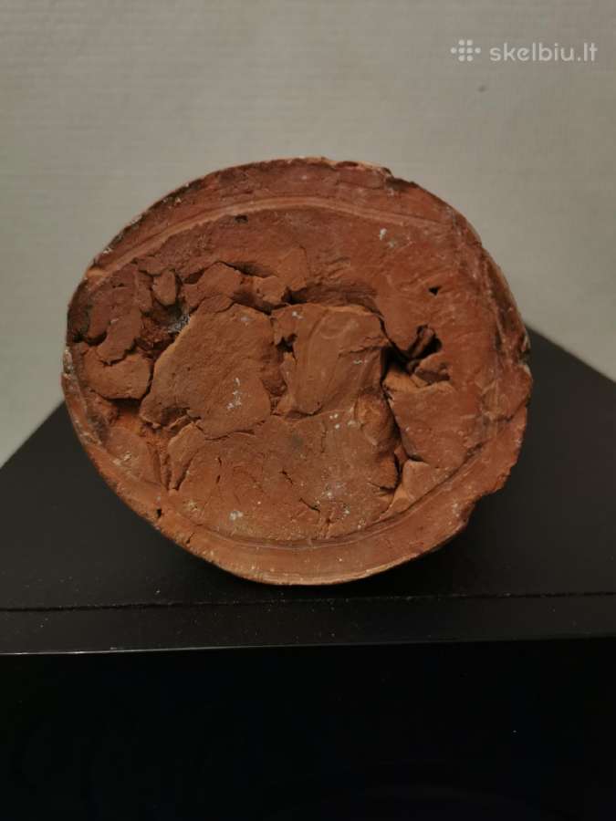 B. Zalensas - nuotraukos Nr. 5