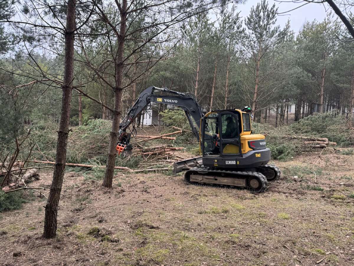 Apleistų sklypų tvarkymas,brangiai perkame biokurą