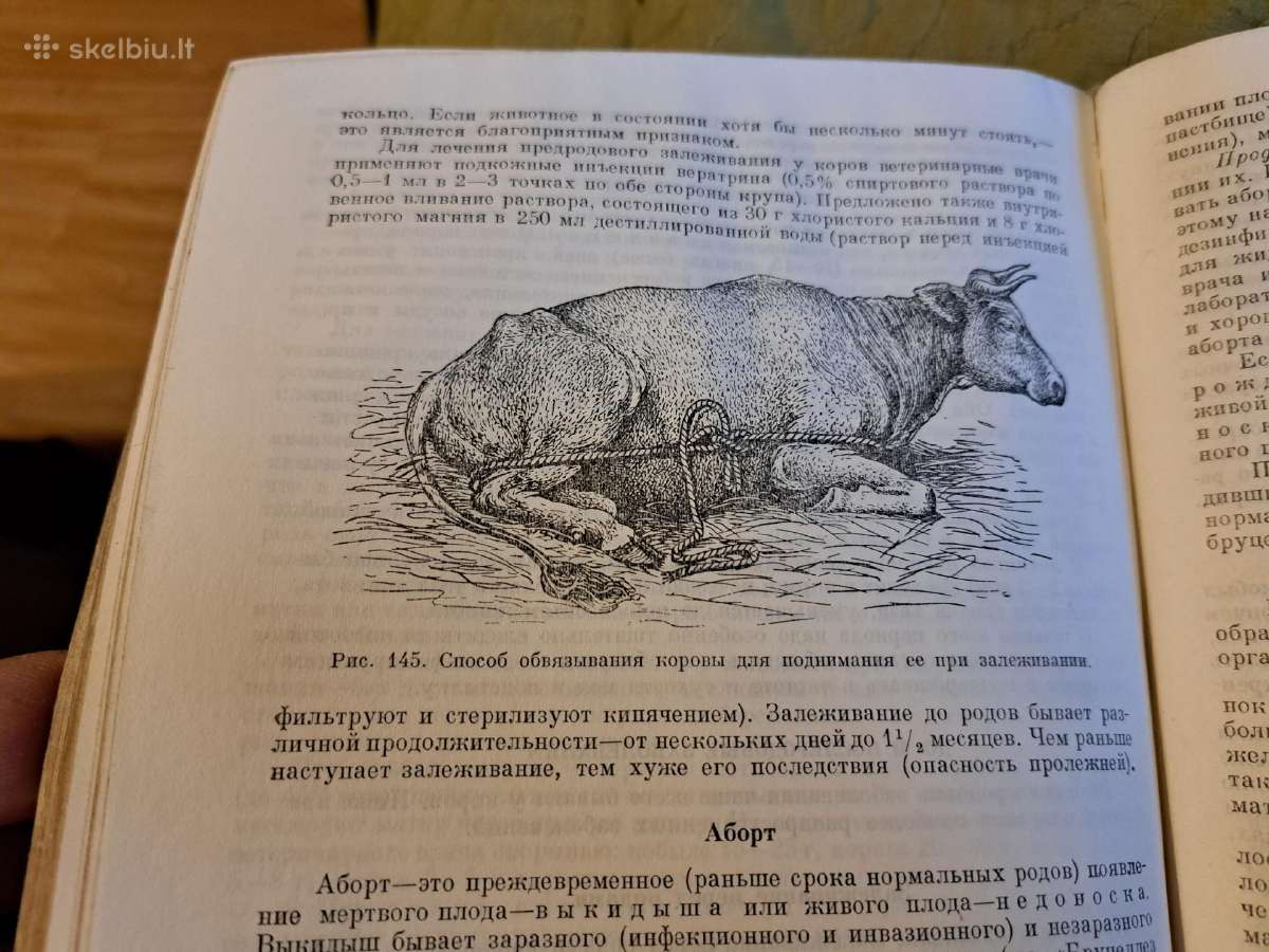 Mikrobiologijos, veterinarijos ir gyvūnų higienos - nuotraukos Nr. 5