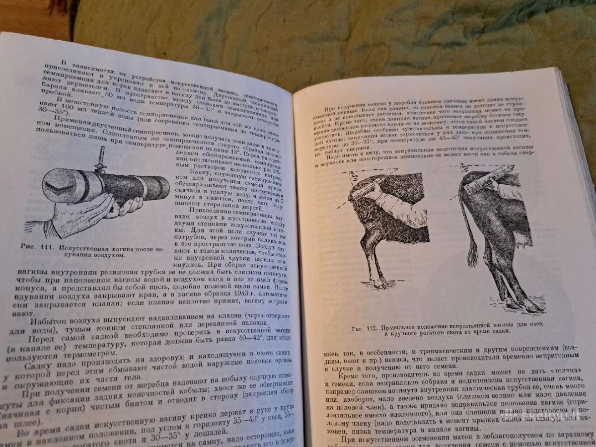 Mikrobiologijos, veterinarijos ir gyvūnų higienos - nuotraukos Nr. 7
