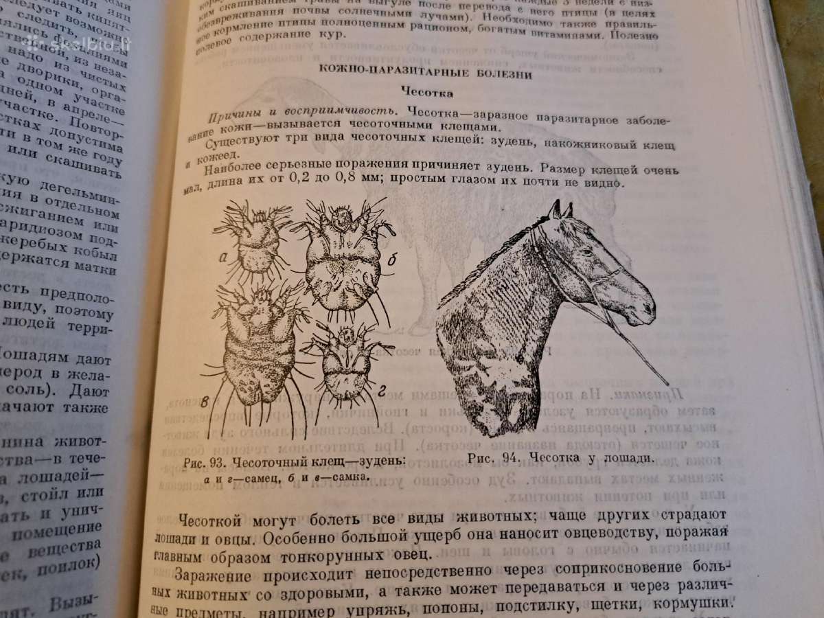 Mikrobiologijos, veterinarijos ir gyvūnų higienos - nuotraukos Nr. 8