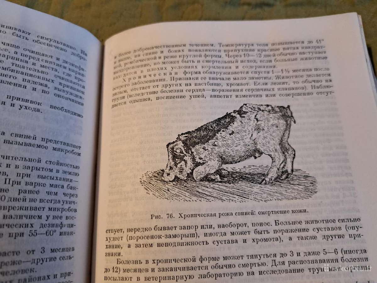 Mikrobiologijos, veterinarijos ir gyvūnų higienos - nuotraukos Nr. 10