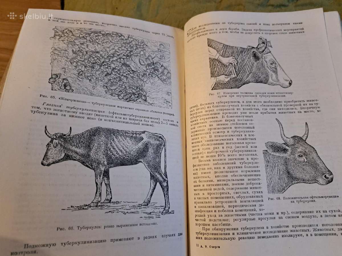 Mikrobiologijos, veterinarijos ir gyvūnų higienos - nuotraukos Nr. 12