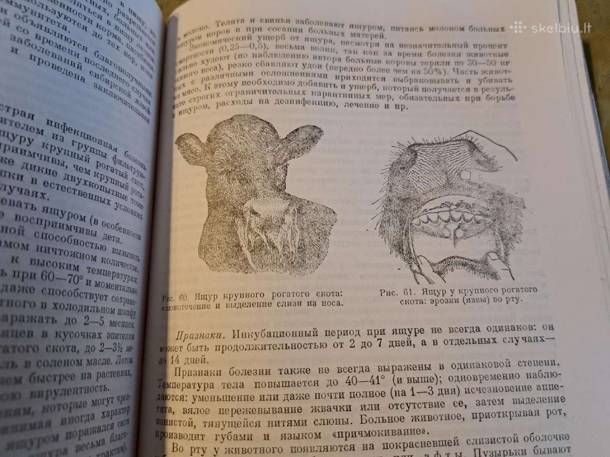 Mikrobiologijos, veterinarijos ir gyvūnų higienos - nuotraukos Nr. 13
