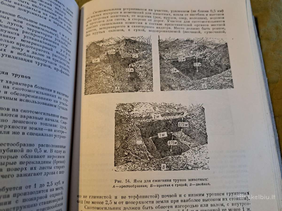 Mikrobiologijos, veterinarijos ir gyvūnų higienos - nuotraukos Nr. 14