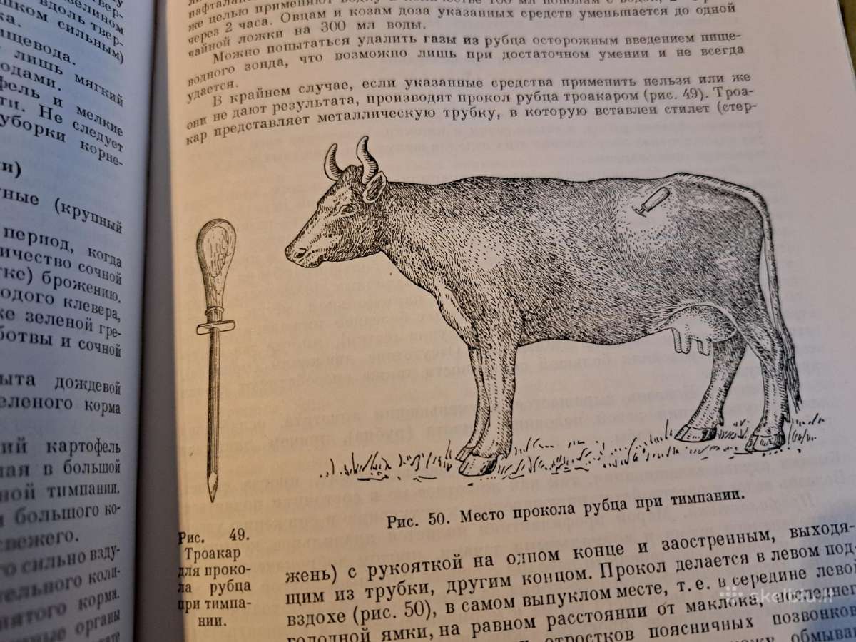 Mikrobiologijos, veterinarijos ir gyvūnų higienos - nuotraukos Nr. 15