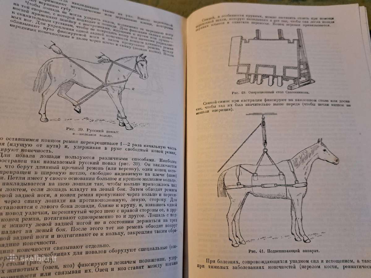 Mikrobiologijos, veterinarijos ir gyvūnų higienos - nuotraukos Nr. 16