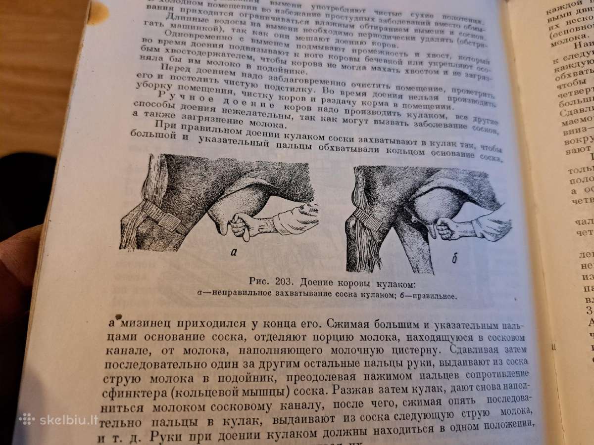Mikrobiologijos, veterinarijos ir gyvūnų higienos - nuotraukos Nr. 17
