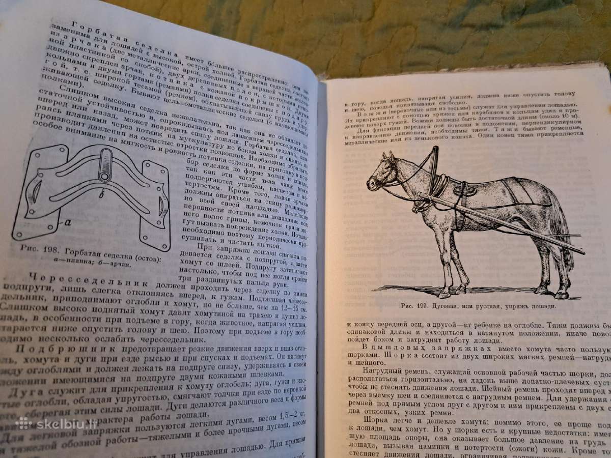 Mikrobiologijos, veterinarijos ir gyvūnų higienos - nuotraukos Nr. 18