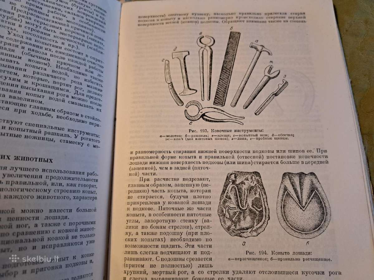 Mikrobiologijos, veterinarijos ir gyvūnų higienos - nuotraukos Nr. 19