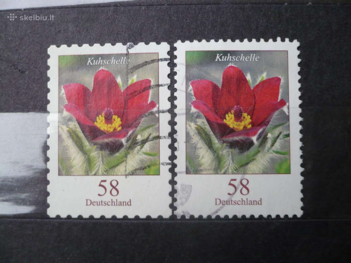2012 Flora – Gėlės
