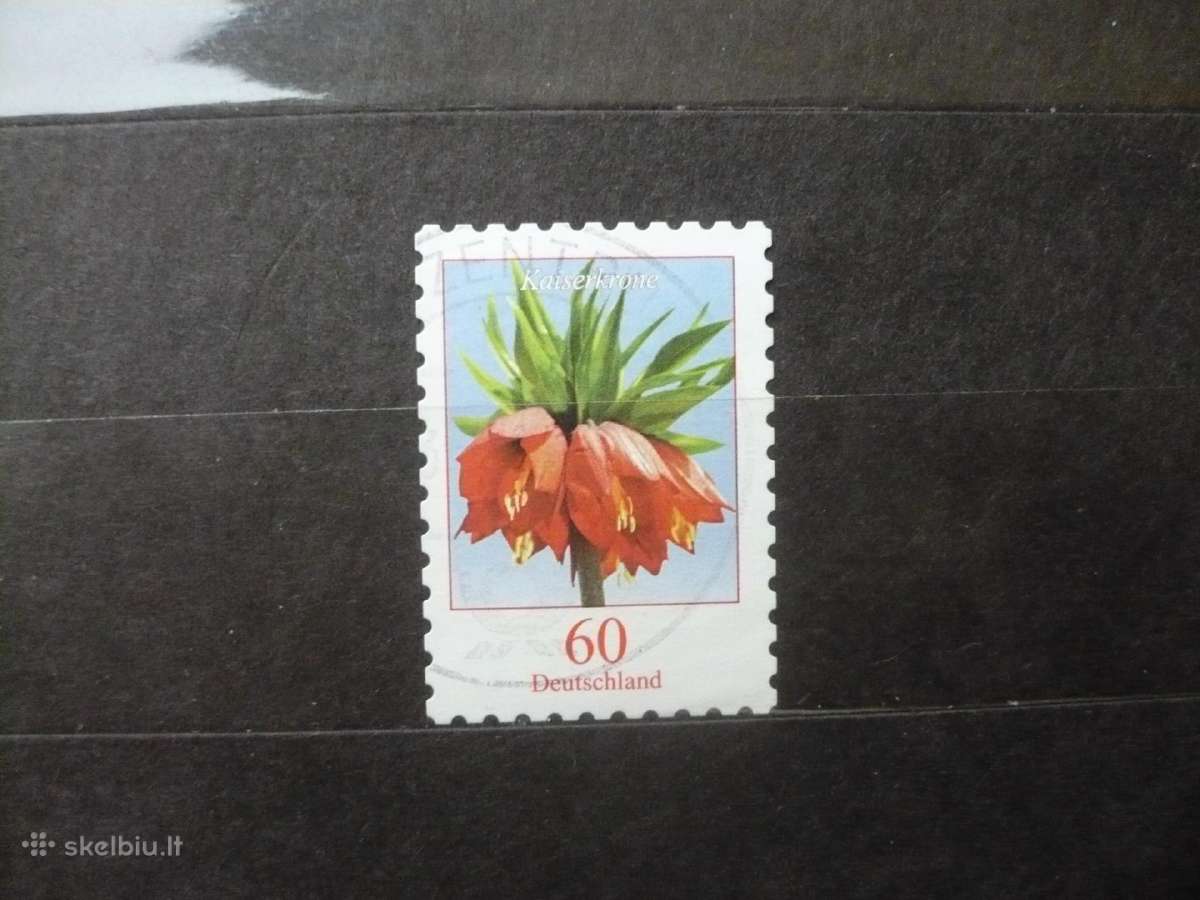 2013 Gėlės