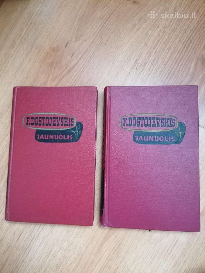 Daug knygu Hemingvėjus, Egziuperi ir kiti - nuotraukos Nr. 13
