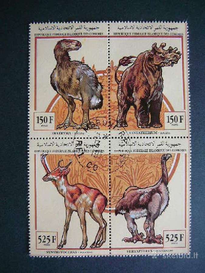 Dinozaurai Komorai 1994 kmr14