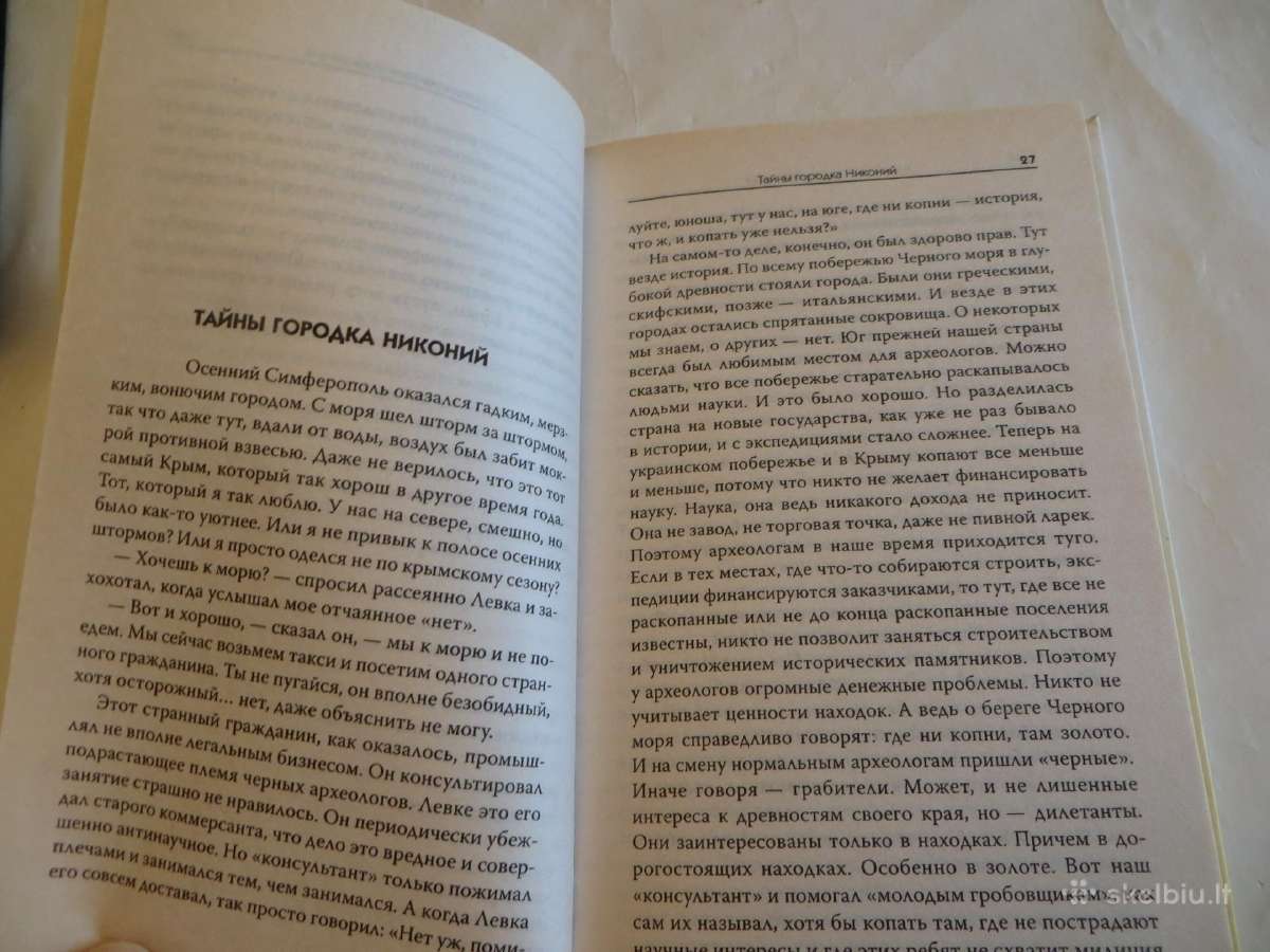 Knyga Pamesto lobio paieškos. Skitų auksas 2008 - nuotraukos Nr. 6