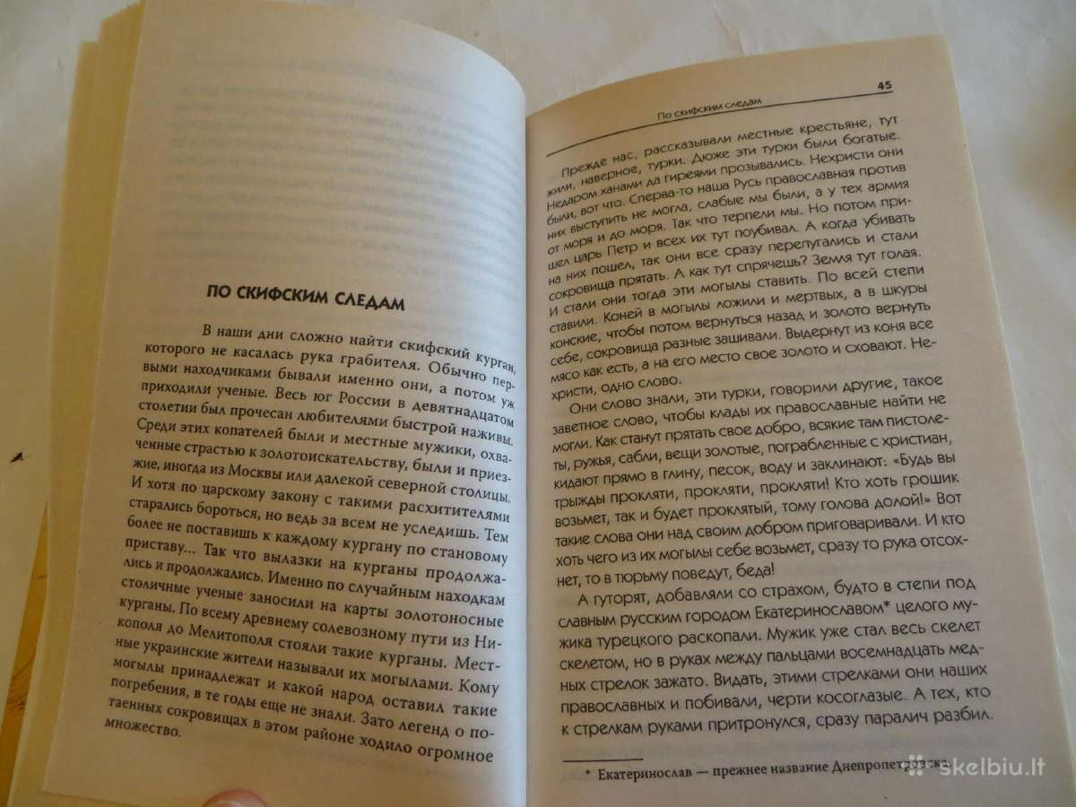 Knyga Pamesto lobio paieškos. Skitų auksas 2008 - nuotraukos Nr. 7