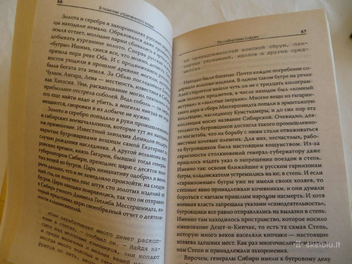 Knyga Pamesto lobio paieškos. Skitų auksas 2008 - nuotraukos Nr. 8