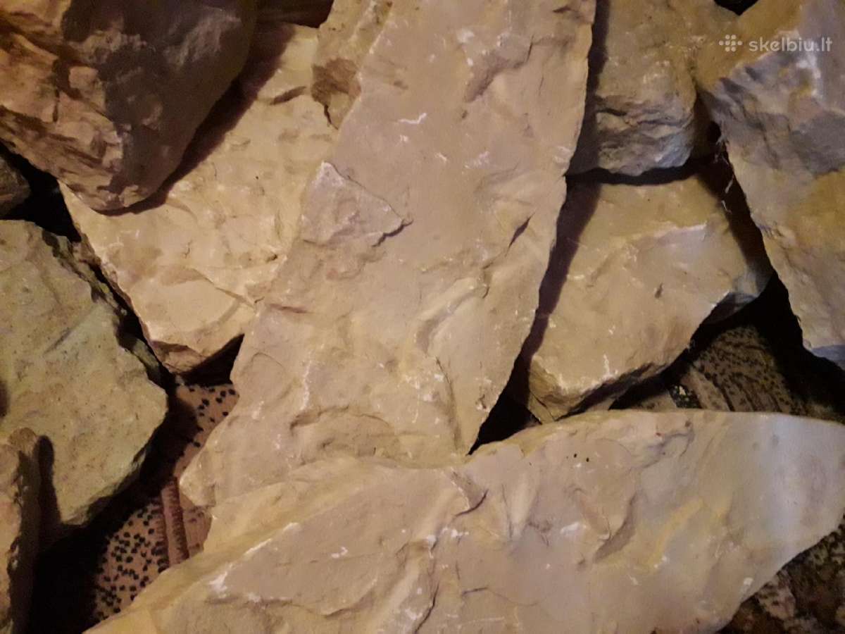 Parsiduoda apie 100 kg - nuotraukos Nr. 5